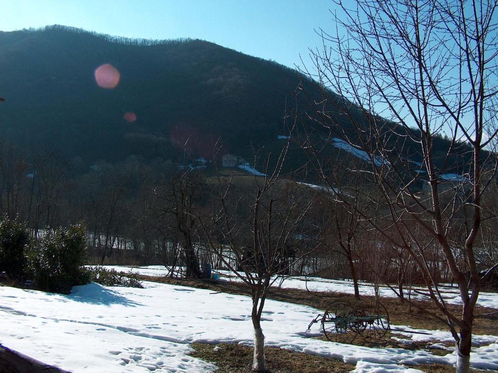Agriturismo La Meridiana Frabosa Sottana Exterior photo